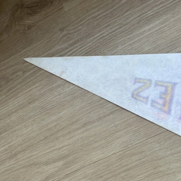 Buffalo Sabres - Vintage NHL Felt Pennant 30" Retro Hockey Merch Memorabilia - Picture 9 of 9